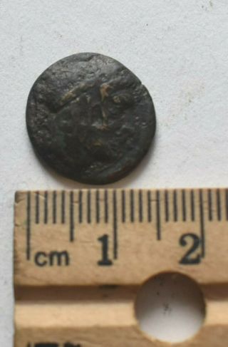 Small Unidentified Greek Bronze Fore Part Of Horse,  Countermarked