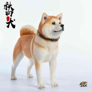 Jxk Jxk007a 1/6 Japanese Akita Japan Dog Animal Figure Model Resin Collectible