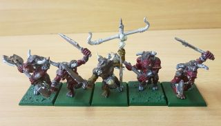 5 X Beast Of Chaos Minotaurs Painted Metal Models Includes Standard Bearer Oop