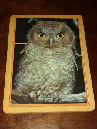 Vintage Wood Puzzle Lakeshore Educational Owl 5pc.  Kids Children 