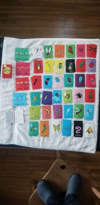 Vintage Skeeter Card Game Arrco Playing Cards Childrens Complete - Extra Cards