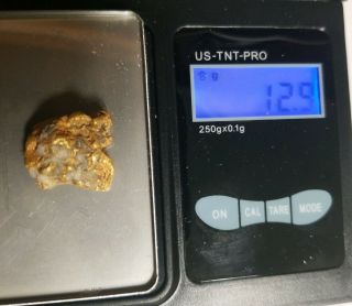 12.  9 Gram Chunky Natural California Gold Nugget Specimen.