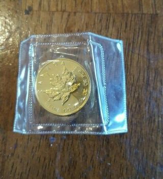 1987 Canada 1/2 0.  50 Oz Fine Gold Maple Leaf Coin Elizabeth Ii 20 Dollars 9999