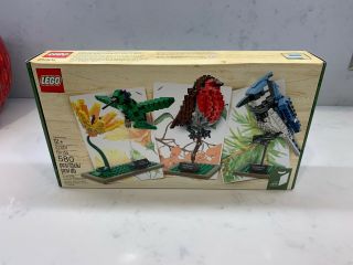 Lego Ideas Birds 21301 Blue Jay,  Hummingbird And Robin