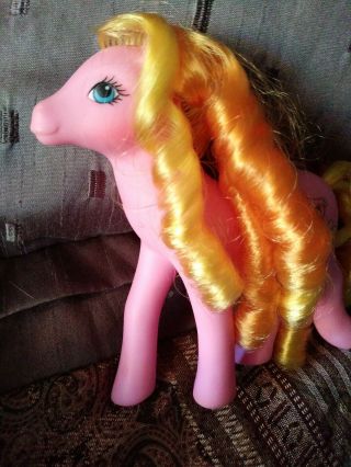 1988 Vintage G1 My Little Pony Goldilocks Mail Order Sweetheart Sister Pony