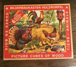 Vintage German Hermann Eichhorn Wooden Picture Puzzle Cubes In Wood Box