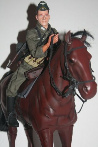 1/6 Dragon Wwii German Wehrmacht Cavalry " Horst & Blitz " Figure & Horse 12 "