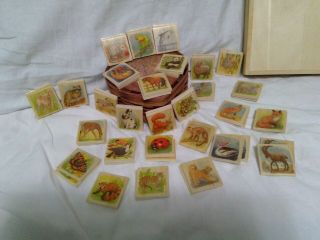 Memory Game Collectable Animals On Wood