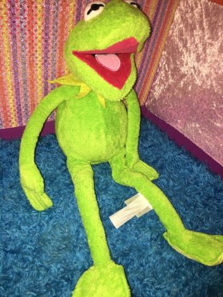 VGUC - 17” Disney Store Muppets Plush Kermit The Frog Stuffed Animal 3