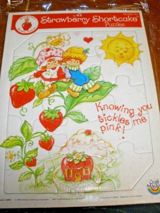 Vintage Craft Master Frame Tray Puzzle 1981 Strawberry Shortcake Knowing You