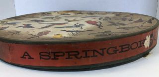 Vintage 1965 Springbok Circular Jigsaw Puzzle Song Birds 3