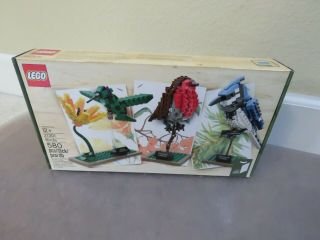 Lego Ideas Birds 21301 Blue Jay,  Hummingbird And Robin