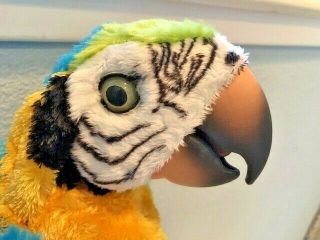 Furreal Friends Squawkers Mccaw Talking Interactive Parrot Great