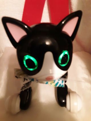 Zoomer Kitty Interactive Robot Black Cat By Spin Master