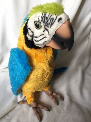 Furreal Friends Squawkers Mccaw Talking Interactive Parrot Bird Great