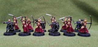 12 X Warriors Of The Last Alliance Well Painted Plastic Models Gondor Lotr