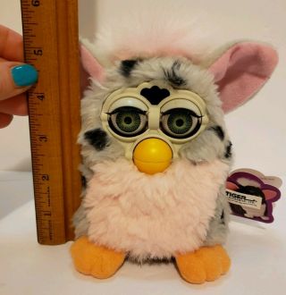 1998 Furby Leopard 70 - 800 Grey with Black Spots and Pink Belly - Tag 2