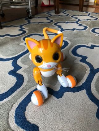 Zoomer Kitty Interactive Cat - " Whiskers The Orange Tabby " - Barely "