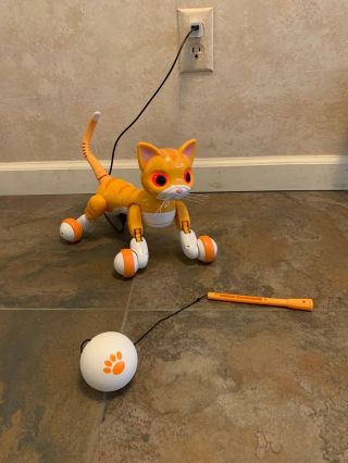 Zoomer Kitty Interactive Cat - " Whiskers The Orange Tabby "