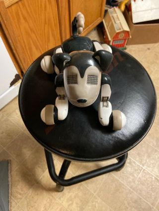 Zoomer Best Friend Shadow Robot Dog