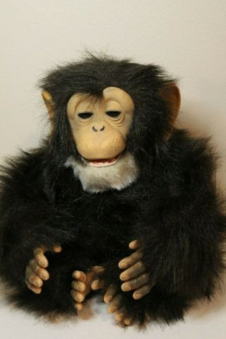Furreal Friends Monkey Cuddle Chimp Chimpanzee Interactive Plush Hasbro Toy