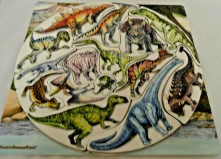 15 piece 12 x 12 Magnetic Dinosaur Puzzle from The Orb Factory 3
