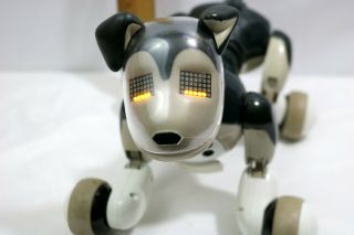 Spin Master - Zoomer Best Friend Shadow Robotic Interactive Dog - USB2.  0 - ID 1018 3