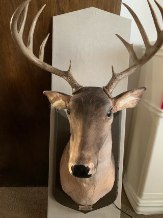 Buck Singing Talking Animated Gemmy Deer Head Euc Christmas