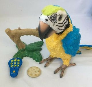 Furreal Friends Squawkers Mccaw Talking Parrot Hasbro Remote Perch Stand