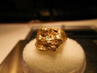 11.  8 Gram Gold Nugget Eureka