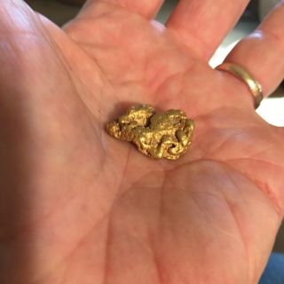 Large Gold Nugget Natural Placer 16.  80 Grams,  Over 1/2 Ounce.  Deep Mellow Yellow