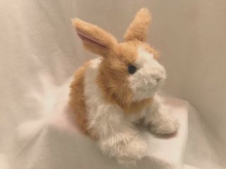 Hasbro Furreal Friends Hop N Cuddle Brown White Bunny Rabbit Animated Sounds 8
