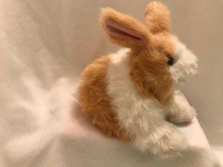 Hasbro Furreal Friends Hop N Cuddle Brown White Bunny Rabbit Animated Sounds 8 2