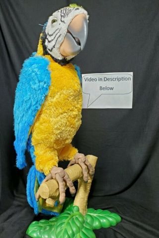 Furreal Friends Squawkers Mccaw Talking Parrot Hasbro Remote Perch Stand Video