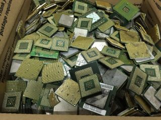 40 Lbs Intel And Amd Old Cpu Processors Scrap Recovery Precious Metals Gold Pins