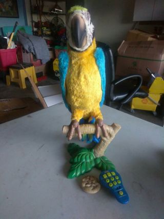 Hasbro Furreal Friends Squawkers Mccaw Parrot Interactive Talking Bird W/perch