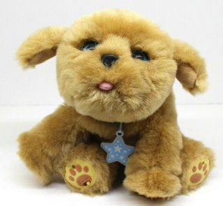 Little Live Pets Snuggles My Dream Puppy Moves/talks 11 " Tall Interactive