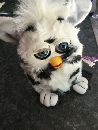 1998 Furby By Tiger Electronics Dalmation White With Black Spots Tags