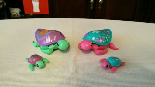 Set Of 2 Little Live Pets Turtles With Their Babies
