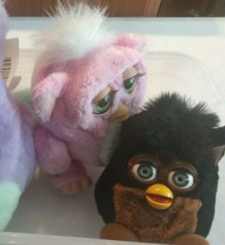 Furby Combo (baby Furby & Brown Squeaky Furby)