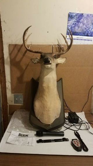 Buck Singing Talking Animated Deer Head