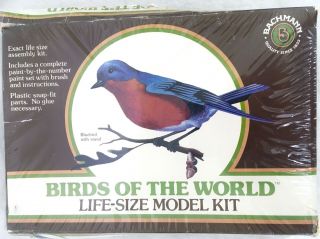 1/1 Birds Of The World By Bachmann 1960 
