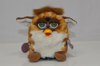 1999 Furby Tiger Electronics 70 - 800 Brown And White Fur,  Green Eyes,  Brown Feet 2