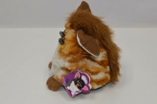 1999 Furby Tiger Electronics 70 - 800 Brown And White Fur,  Green Eyes,  Brown Feet 3