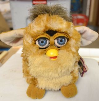 1998 Furby - Brown With Beige Chest And Blue Eyes - 70 - 800 No Sound,  W/tags