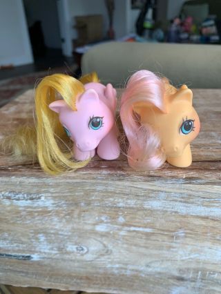 Mlp Hasbro 1987 G1 My Little Pony Dibbles & Nibbles Newborn Pegasus Twins Great