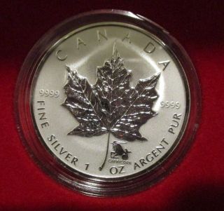 Canada 2004 Silver Maple Leaf Zodiac Privy 12 Coin Set in Red Presentation Box 3