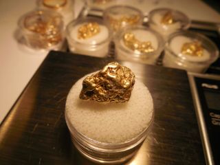 11.  4 Gram Gold Nugget Eureka