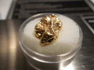10.  5 Gram Gold Nugget Eureka