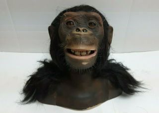 Wowwee Sharper Image Alive Chimpanzee Head Ww258 Animatronic Toy